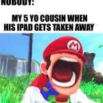 Unlimited irritation | NOBODY:; MY 5 YO COUSIN WHEN HIS IPAD GETS TAKEN AWAY | image tagged in mario screaming,fun stream | made w/ Imgflip meme maker