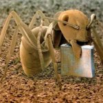 Ant with computer chip