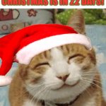Polite Cat Meme Generator - Piñata Farms - The best meme generator and meme  maker for video & image memes