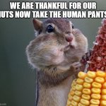 Thanksgiving Squirrel | WE ARE THANKFUL FOR OUR NUTS NOW TAKE THE HUMAN PANTS | image tagged in thanksgiving squirrel | made w/ Imgflip meme maker