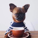 ANGRY PUPPY COFFEE
