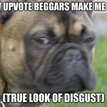 dog staredown | HOW UPVOTE BEGGARS MAKE ME FEEL. (TRUE LOOK OF DISGUST) | image tagged in dog staredown | made w/ Imgflip meme maker