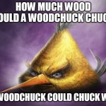 Realistic yellow angry bird | HOW MUCH WOOD COULD A WOODCHUCK CHUCK; IF A WOODCHUCK COULD CHUCK WOOD | image tagged in realistic yellow angry bird | made w/ Imgflip meme maker