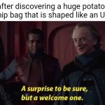 Potato chip | Me after discovering a huge potato chip from a chip bag that is shaped like an U.S. state: | image tagged in a surprise to be sure,potato chip,memes,blank white template,i've looked at this for 5 hours now,oh it's beautiful | made w/ Imgflip meme maker