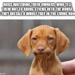 Disappointed Dog | DOGS WATCHING THEIR OWNERS, WHO TELL THEM NOT TO BRING STICKS INTO THE HOUSE, AS THEY INSTALL A WHOLE TREE IN THE LIVING ROOM: | image tagged in disappointed dog,dogs,christmas tree | made w/ Imgflip meme maker