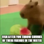 Cannibalism :) | FISH AFTER YOU THROW CHUNKS OF THEIR FRIENDS IN THE WATER | image tagged in gifs,eat | made w/ Imgflip video-to-gif maker