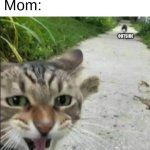 mom | Me: I'm bored

Mom:; OUTSIDE | image tagged in cat pointing,funny,fun,cats | made w/ Imgflip meme maker