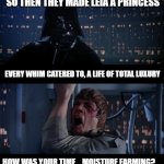 Shame Luke never learned about pocket sand | SO THEN THEY MADE LEIA A PRINCESS; EVERY WHIM CATERED TO, A LIFE OF TOTAL LUXURY; HOW WAS YOUR TIME... MOISTURE FARMING? | image tagged in memes,star wars no | made w/ Imgflip meme maker