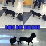 GOOD BOY AIRLINES