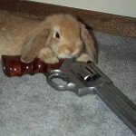 GUNNY BUNNY