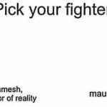 pick your fighter