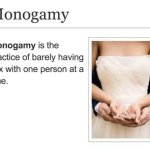 Monogamy meme