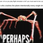 "Perhaps" | person: oh so you play flight simulator a lot? you must want to be a pilot! Me who crashes the plane intentionally every single time: | image tagged in perhaps crab,airplane,random,funny,original meme | made w/ Imgflip meme maker