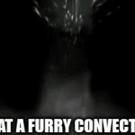 ok | ME AT A FURRY CONVECTION | image tagged in gifs,funny | made w/ Imgflip video-to-gif maker
