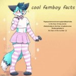 INFINTE IRONY | Hippopotomonstrosesquipedaliophobia is the fear of long words

Aibohphobia is the fear of palindromes
Dodecaphobia is the fear of the number 12 | image tagged in cool femboy facts,furry,femboy,boykisser | made w/ Imgflip meme maker