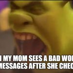 Mom is super mad | WHEN MY MOM SEES A BAD WORD IN MY TEXT MESSAGES AFTER SHE CHECKS THEM | image tagged in shrek screaming | made w/ Imgflip meme maker