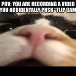 Up close cat | POV: YOU ARE RECORDING A VIDEO AND YOU ACCIDENTALLY PUSH "FLIP CAMERA" | image tagged in up close cat | made w/ Imgflip meme maker