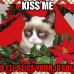 Grumpy Cat Mistletoe | KISS ME AND I'LL SLICE YOUR JUGULAR. | image tagged in memes,grumpy cat | made w/ Imgflip meme maker