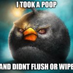 Realistic Bomb Angry Bird | I TOOK A POOP; AND DIDNT FLUSH OR WIPE | image tagged in realistic bomb angry bird | made w/ Imgflip meme maker