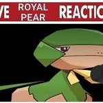 Live Royal Pear Reaction