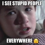 Stupid People | I SEE STUPID PEOPLE; EVERYWHERE 🫣 | image tagged in sixth sense | made w/ Imgflip meme maker