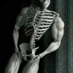 Buff Skeleton | THE SKELETON | image tagged in buff skeleton | made w/ Imgflip meme maker