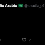 Saudi Gov Watchlist Twitter