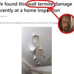 Wall termite