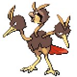 Pidgduo