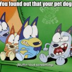 muffin is so annoying | POV: You found out that your pet dog died | image tagged in muffin is so annoying,memes,rip,dog | made w/ Imgflip meme maker