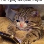 Crying cat on phone | Me calling the bomb squad after dropping my unopened Dr Pepper | image tagged in crying cat on phone | made w/ Imgflip meme maker