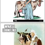 Dairymaid | WHAT I THINK I LOOK LIKE; WHAT I LOOK LIKE | image tagged in double blank | made w/ Imgflip meme maker