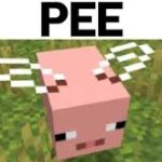 Pee