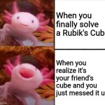 Yeet | When you finally solve a Rubik's Cube; When you realize it's your friend's cube and you just messed it up | image tagged in axolotl drake | made w/ Imgflip meme maker