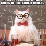 Cats | IN EVOLUTIONAL HISTORY, IT TOOK THOUSANDS OF YEARS FOR US TO DOMESTICATE HUMANS. | image tagged in science cat | made w/ Imgflip meme maker