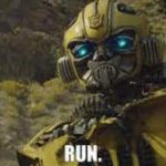 Bumblebee Run