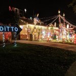 Ditto Christmas Lights template