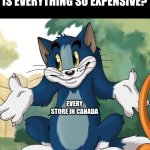 Canada's a wreck rn | CANADIAN CITIZENS: WHY IS EVERYTHING SO EXPENSIVE? EVERY STORE IN CANADA | image tagged in tom and jerry - tom who knows hd | made w/ Imgflip meme maker