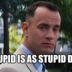 Stupid is | STUPID IS AS STUPID DOES | image tagged in forrest gump | made w/ Imgflip meme maker