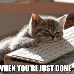 My literal feelings right now lol | WHEN YOU'RE JUST DONE | image tagged in tired cat,tired,i can't take it anymore,relatable,bored keyboard cat,cat | made w/ Imgflip meme maker