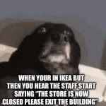 SCP-3008 be like: | WHEN YOUR IN IKEA BUT THEN YOU HEAR THE STAFF START SAYING “THE STORE IS NOW CLOSED PLEASE EXIT THE BUILDING” | image tagged in gifs,scp meme | made w/ Imgflip video-to-gif maker