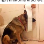 I am in need of help | When you see a shadowy figure in the corner of your eye: | image tagged in ninja dog hides behind toilet paper,mom come pick me up i'm scared | made w/ Imgflip meme maker