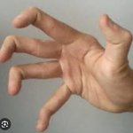 PVZ real life hand