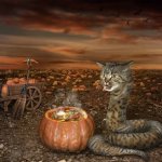 Pumpkin Potion Cat Snake