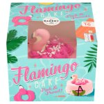 Flamingo Asda Cake