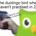 duolingo gun | The duolingo bird when you haven't practised in 2 days; Beg for your life in Spanish | image tagged in duolingo gun | made w/ Imgflip meme maker