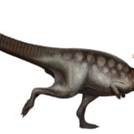 Pachycephalosaurus(Saurian)