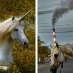Unicorn smoke