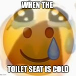 I HATE cold toilet seats | WHEN THE; TOILET SEAT IS COLD | image tagged in pain,cold,freezing cold,toilet seat | made w/ Imgflip meme maker
