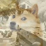 Doge ptsd